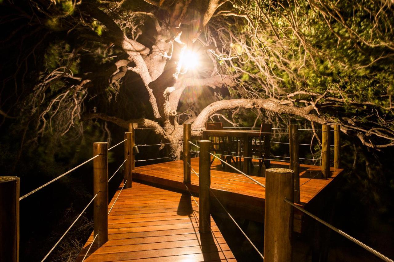 Naledi Lodges Balule Game Reserve Eksteriør billede